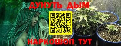 амф Будённовск