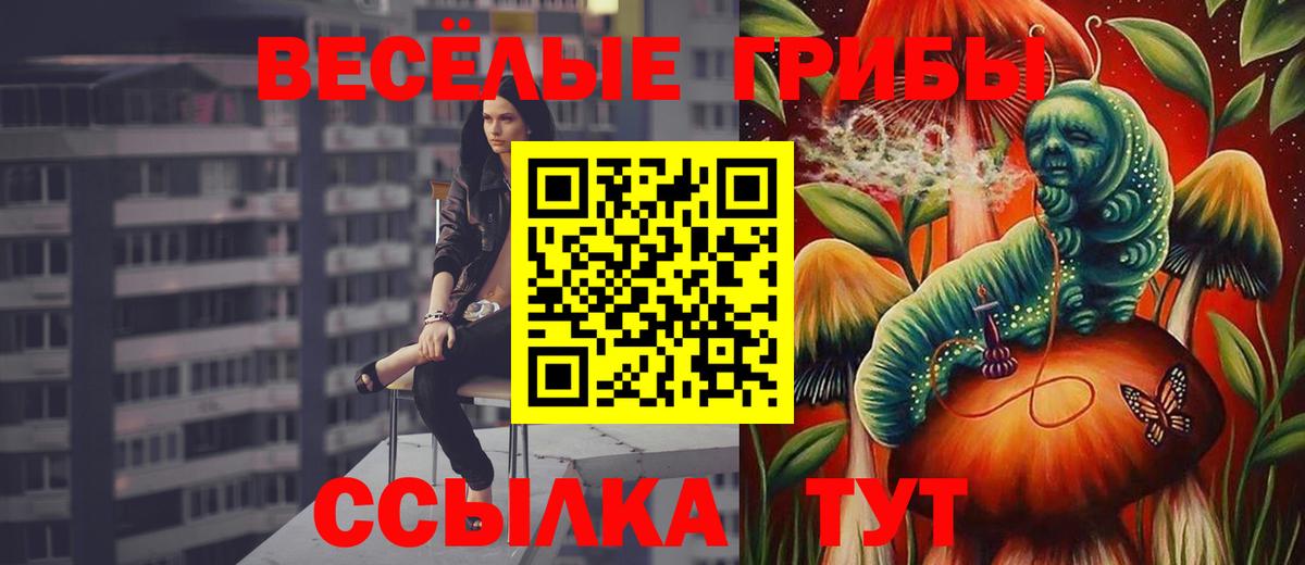 Псилоцибиновые грибы мухоморы Славгород