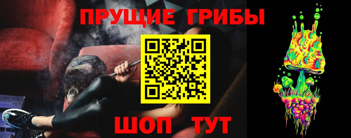 Славгород  Псилоцибиновые грибы MAGIC MUSHROOMS  Вход с VPN 